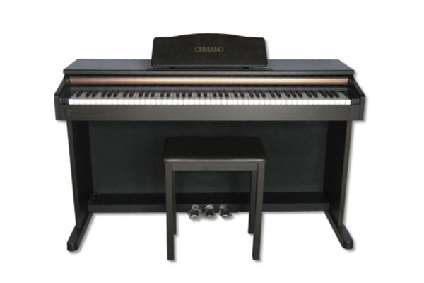 電子ピアノ CASIO CELVIANO AP-25 - 鍵盤楽器、ピアノ