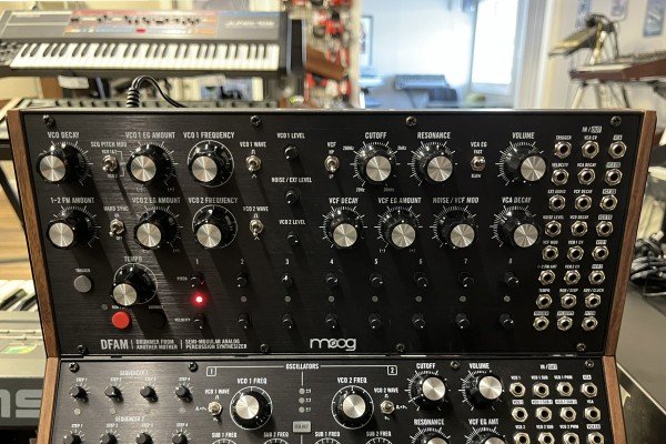 Moog DFAM